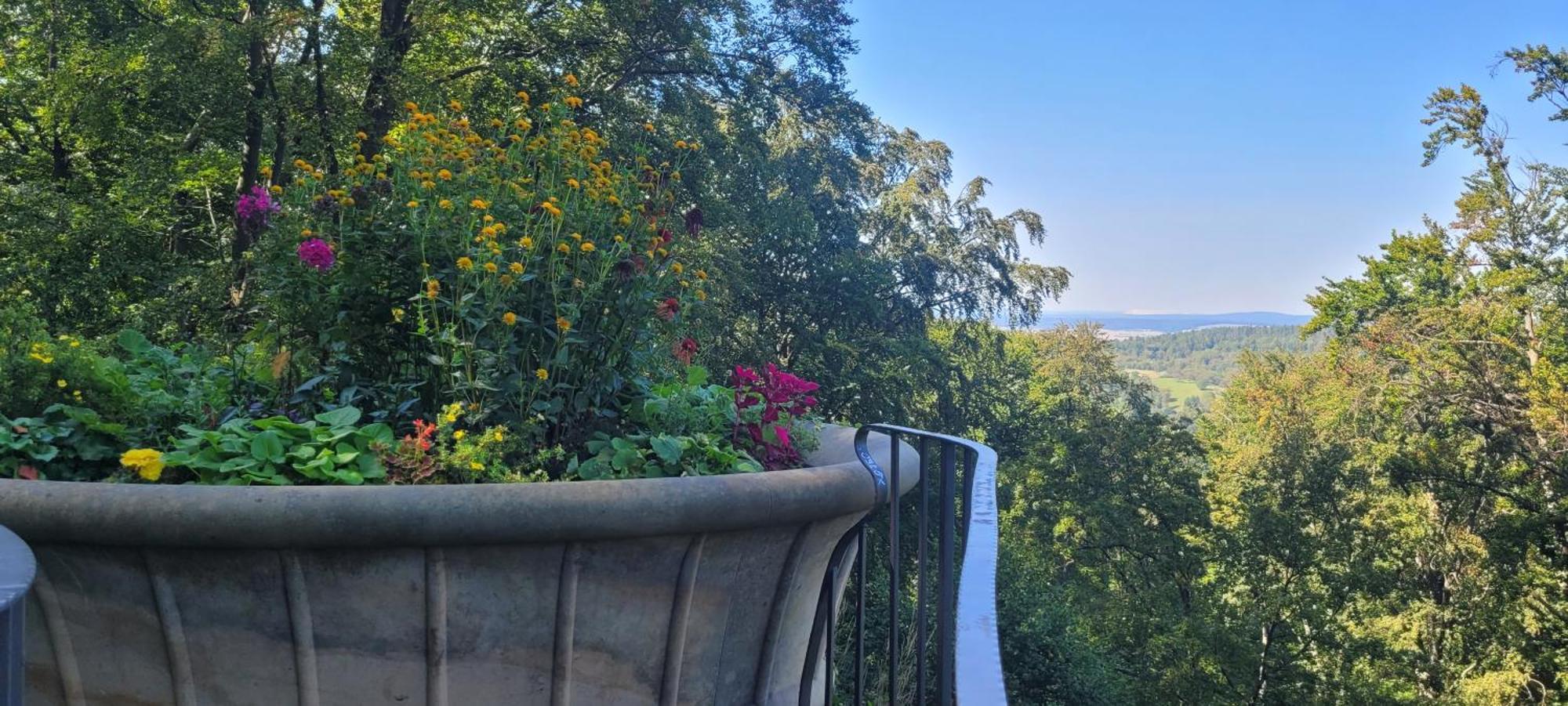 Villa Charlotte 巴特列本斯坦 外观 照片