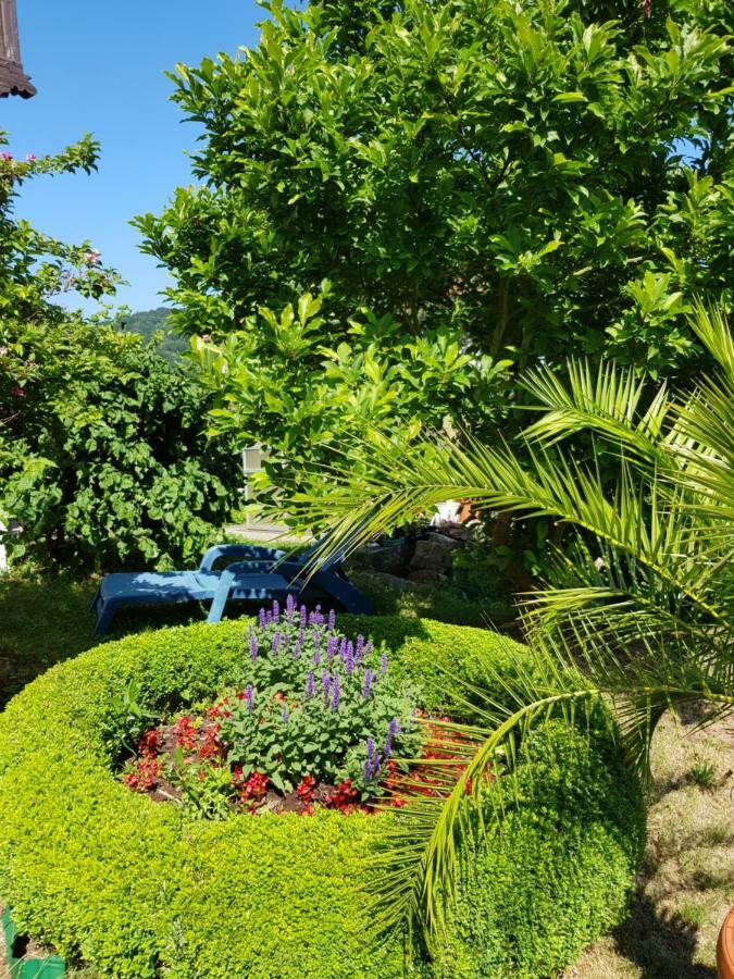 Villa Charlotte 巴特列本斯坦 外观 照片